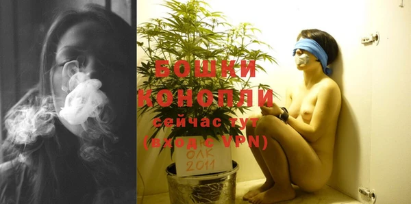 дурь Нягань