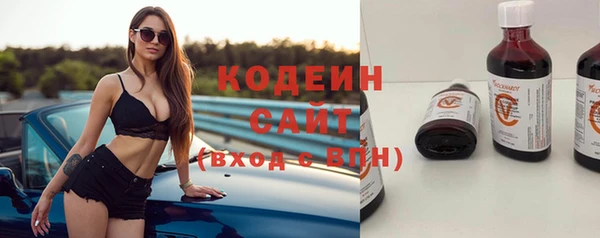амф Няндома