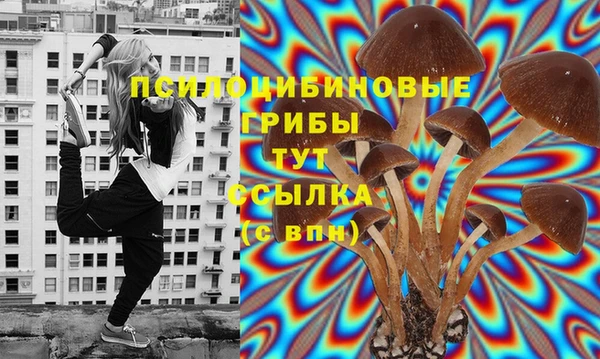 дурь Нягань