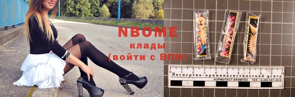 амф Няндома