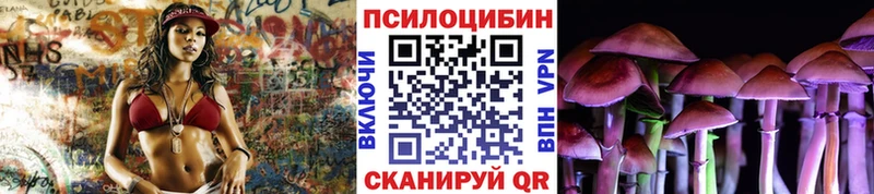 mega tor продажа наркотиков Нахабино Галлюциногенные грибы MAGIC MUSHROOMS
